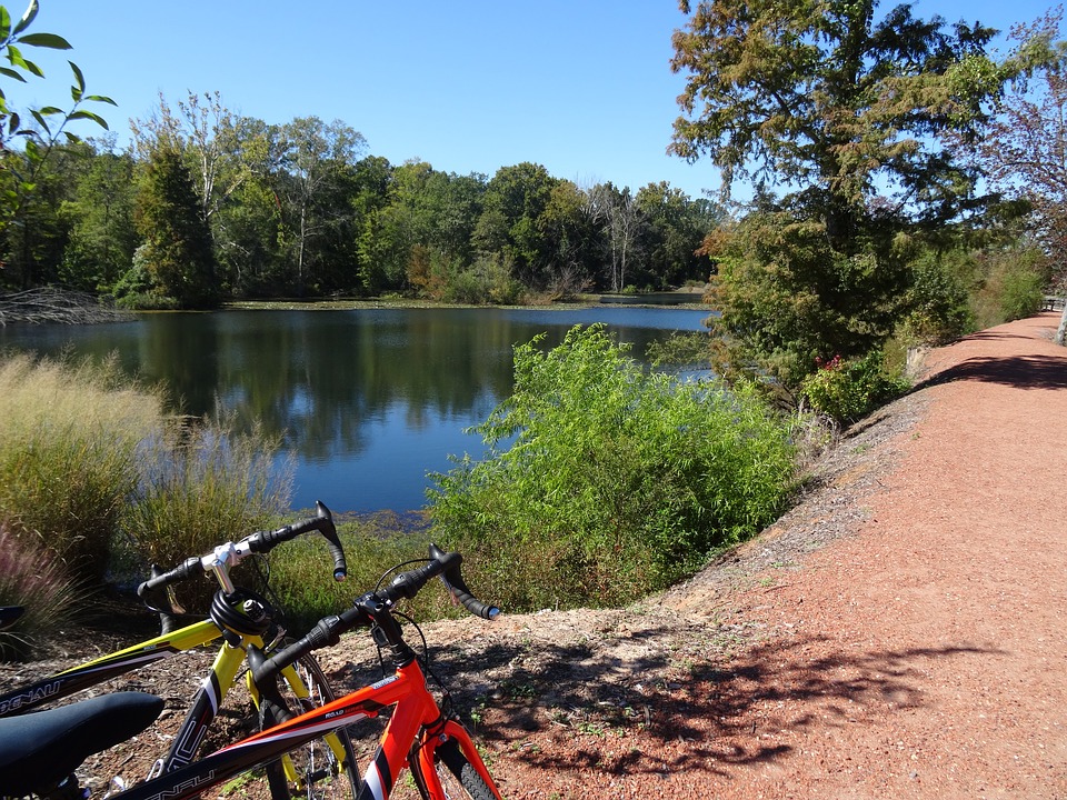 enjoy cycling excursions on a European river cruises in 2017