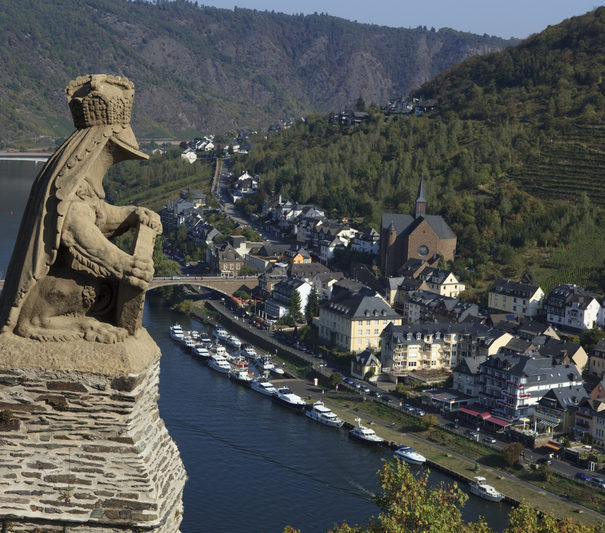 Cochem from Castle