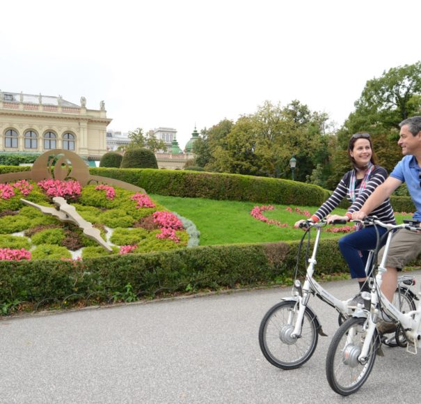 Scenic E Bikes