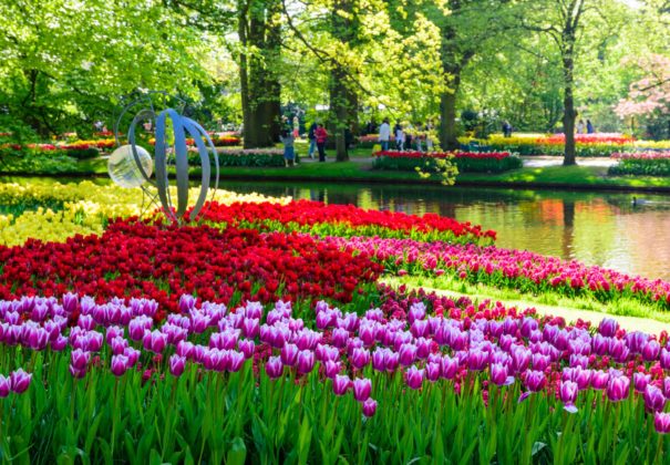 Day 3 - Enkhuizen (Keukenhof) & Lelystad