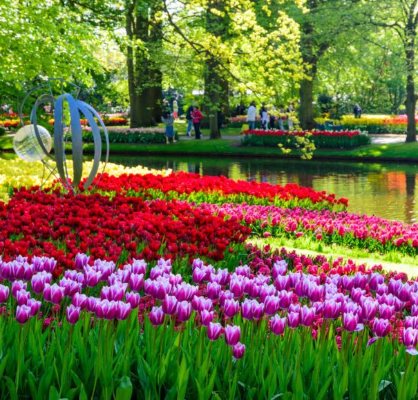 Titan Travel Keukenhof park, Netherlands