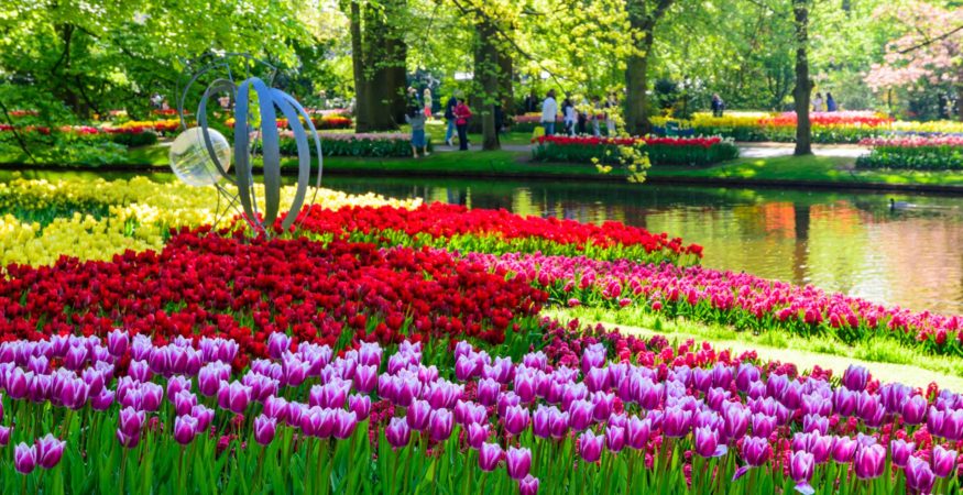 Titan Travel Keukenhof park, Netherlands