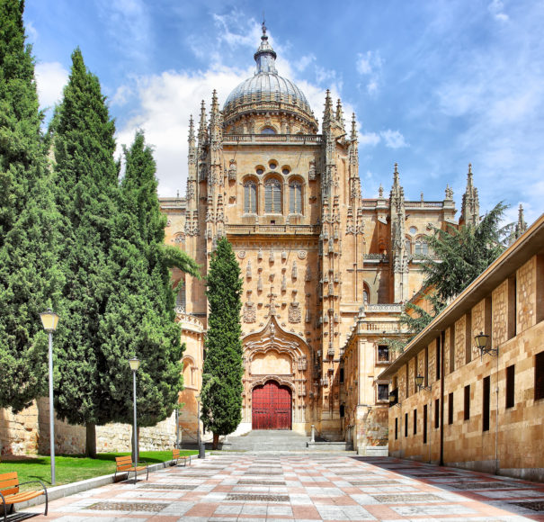 Douro - Patio Chico and New Cathedral, Salamanca