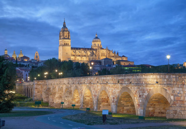 Day 8 -  Vega de Terron, Disembark Ship, Salamanca, Madrid
