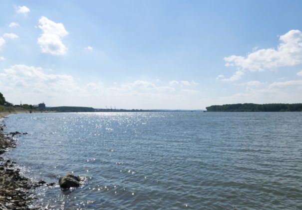 Day 7 - Silistra