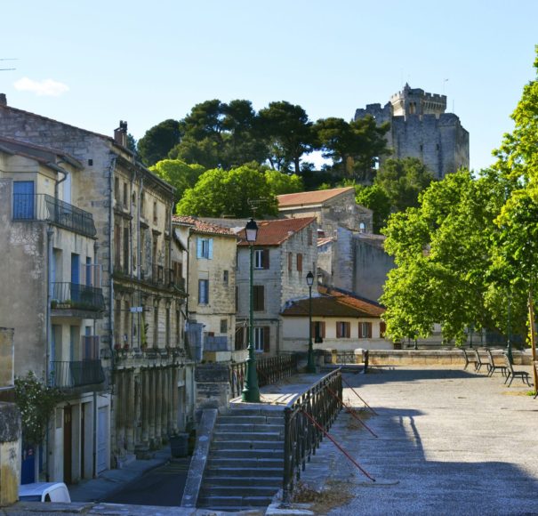 Rhone - View on medieval castle of Tarascon, France