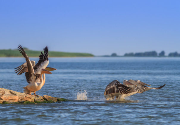 Day 3 - Danube Delta & St George Village