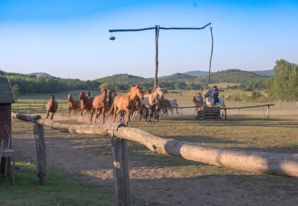 Day 12 - Mohács & Kalocsa - Hungary