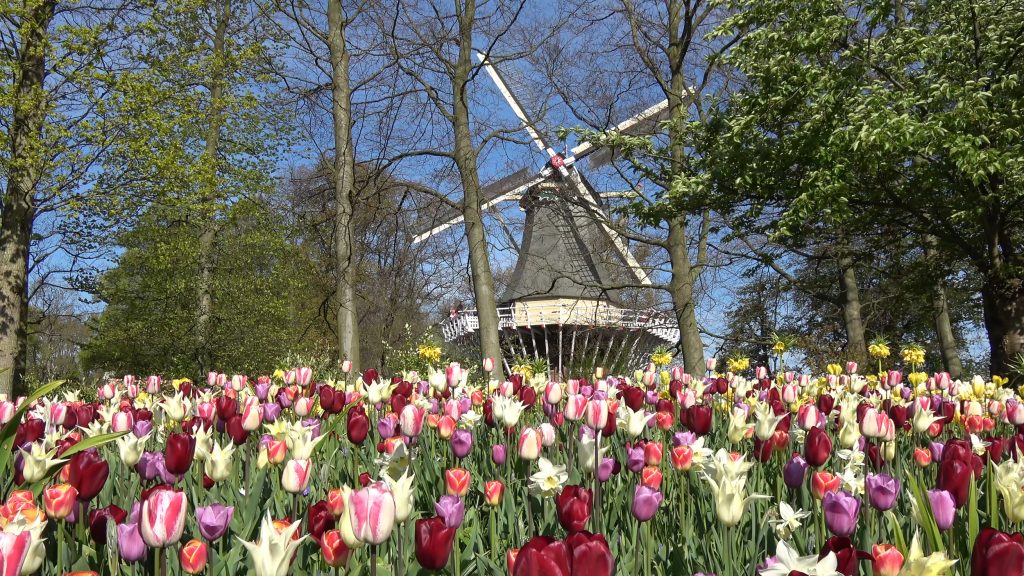 Keukenhof Kitchen Garden Holland