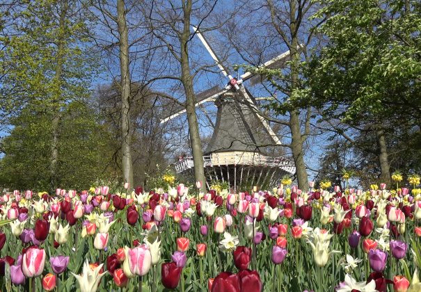 Keukenhof Kitchen Garden Holland