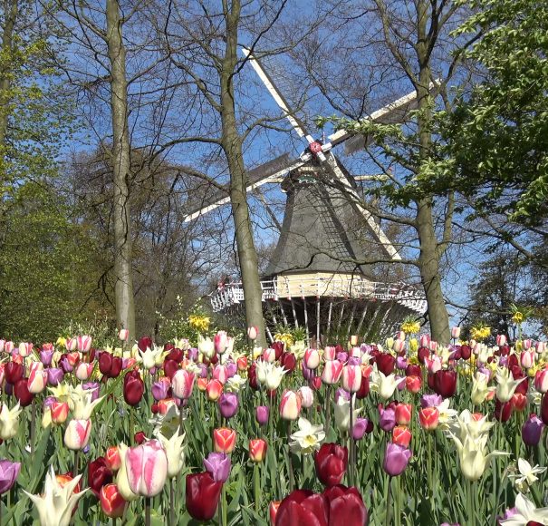 Keukenhof Kitchen Garden Holland