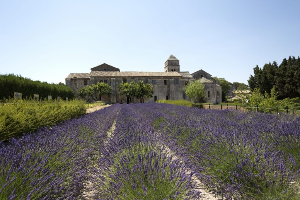 Rhone - Lavender-Garden-of-the-Hospital-in-ArlesLowRes