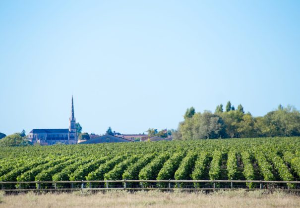 Day 6 - Libourne, Bordeaux