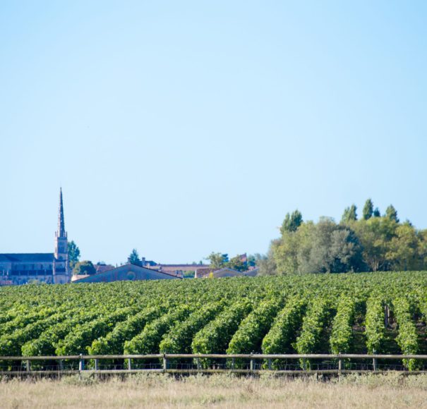 Bordeaux - Pauillac,-Saint-Estèphe,-Saint-Julien-and-Margaux-in-the-north-of-Bordeaux-lies-the-MédocLowRes