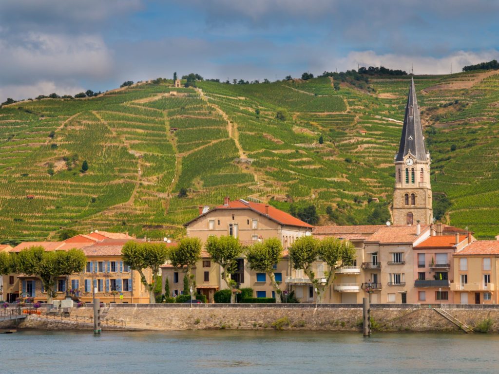 APT River Cruise Rhone - Vineyards on the Hills of the Cote du Rhone France