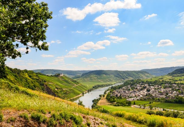 Day 8 - Moselle Valley Cruising