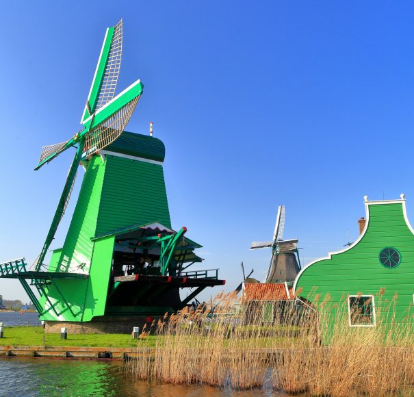 Titan Travel River Cruise Tulips and Windmills