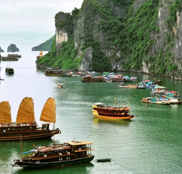 Ha Long Bay - Sailing Junks