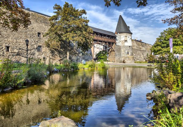 Day 12 - Rudesheim, Andernach