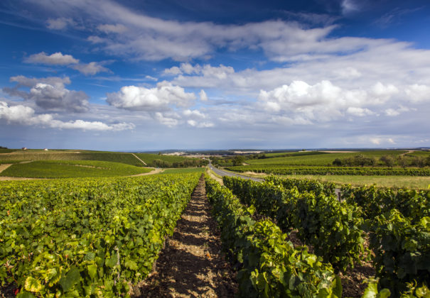 Day 3 -  Léré - Ménétréol-sous-Sancerre