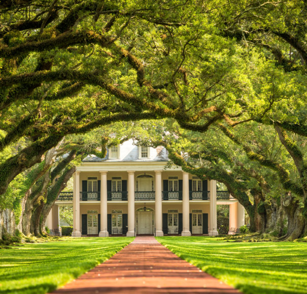 Oak Alley Plantation, Louisiana (mississippi river cruise new orleans to st Paul)