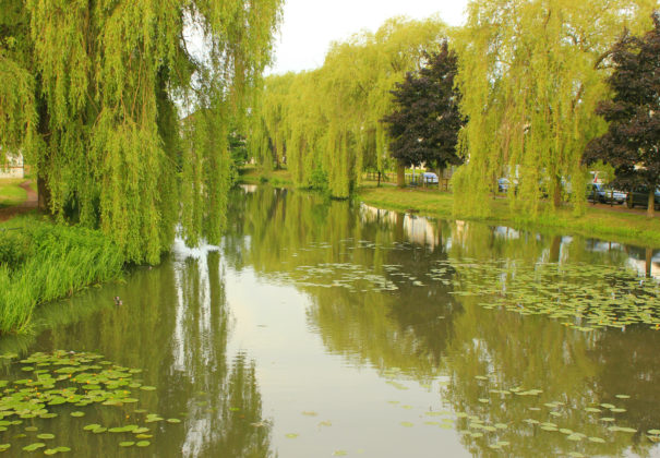 Day  4 - Chateau Thierry