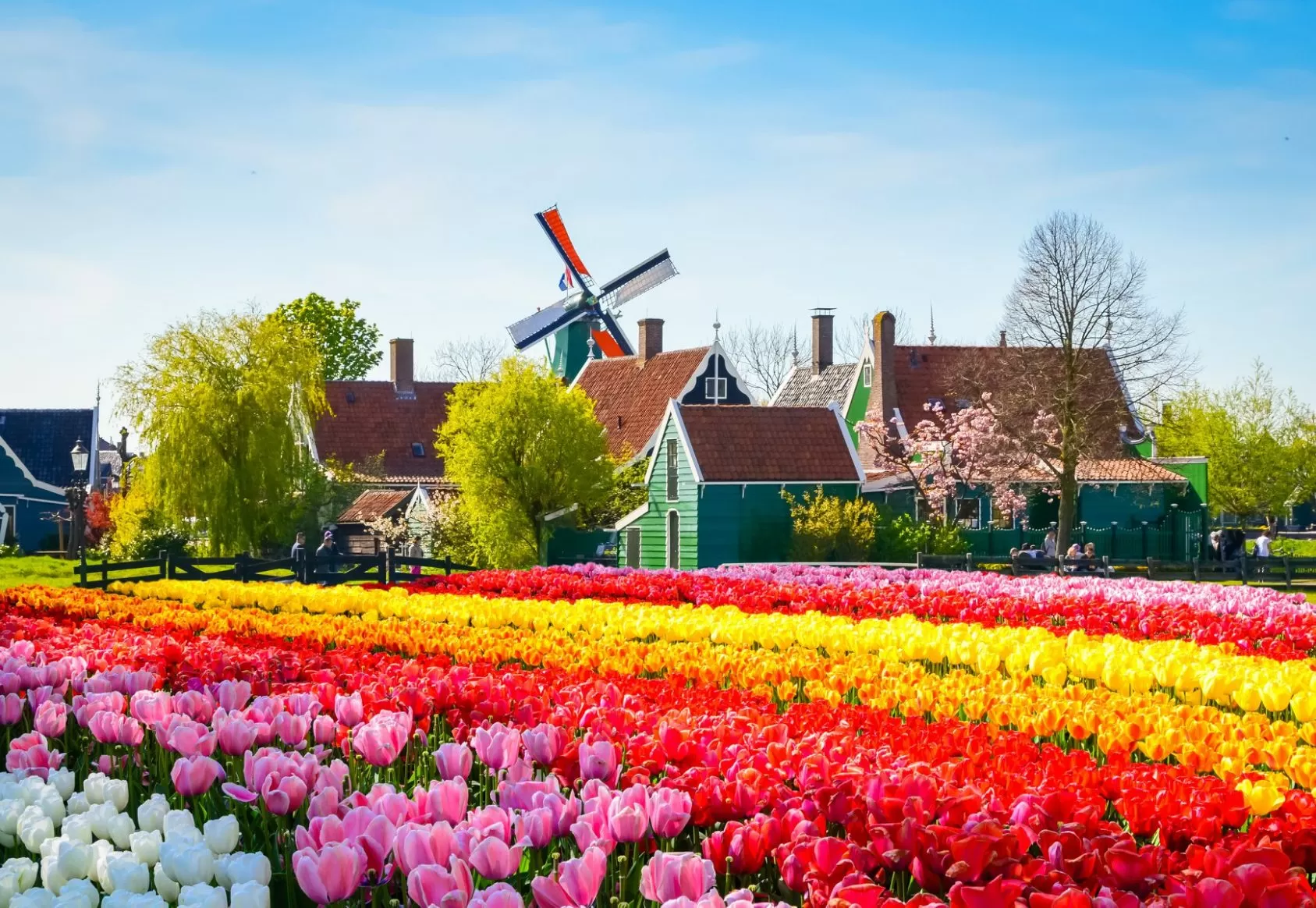 Tulip River Cruises in Europe in Springtime including Keukenhof Gardens