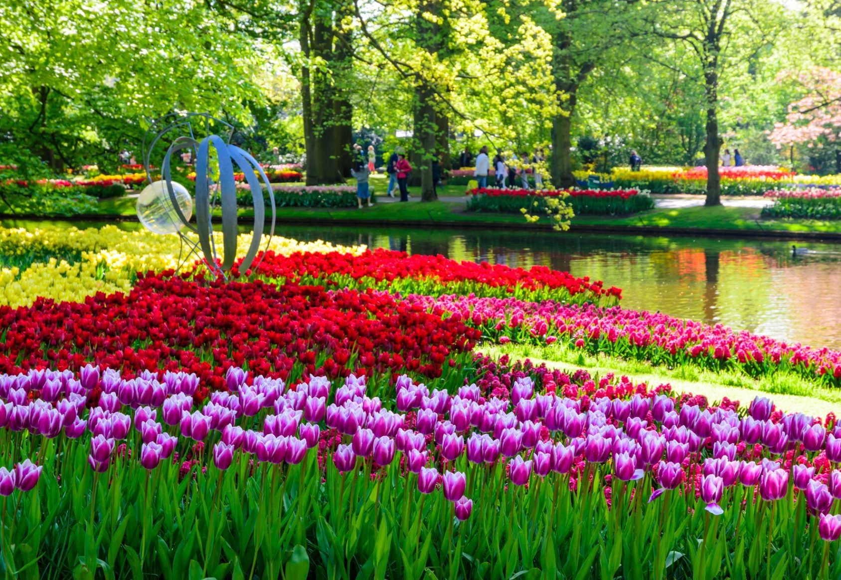What is a Tulip River Cruise?