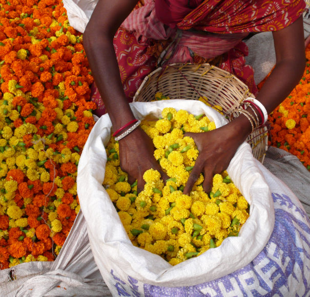 Flowers at the flower market in Kolkata. India