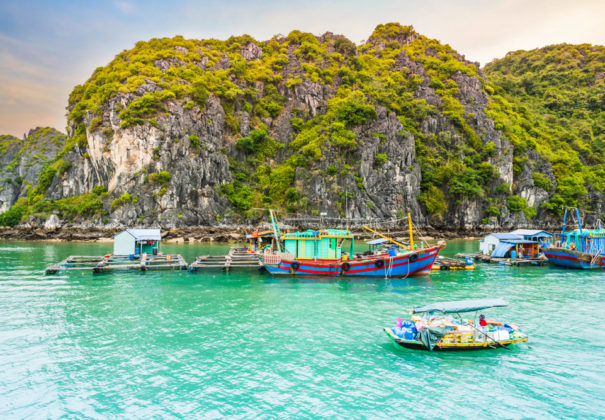 Day 11 - Ha Long Bay