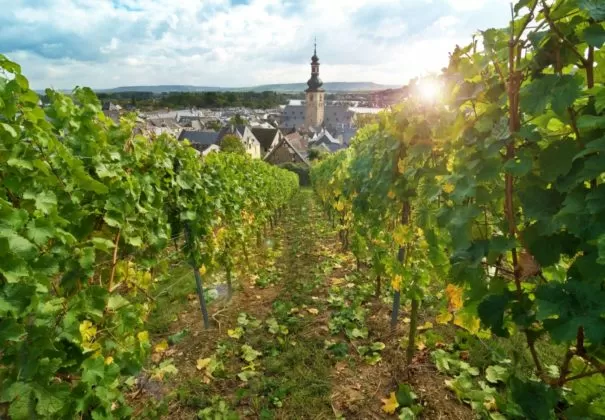 Day 3 - Lorelei Passage - Rudesheim