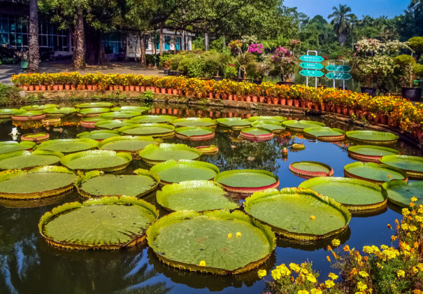 Day 8 - Luoc - Thai Binh- Kinh Thay Rivers