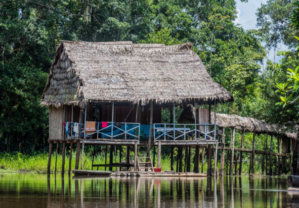 Day 7 -   Ucayali River, Pacaya River