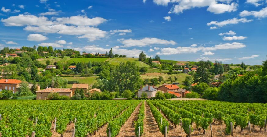 Portugal or France for Your Next River Cruise