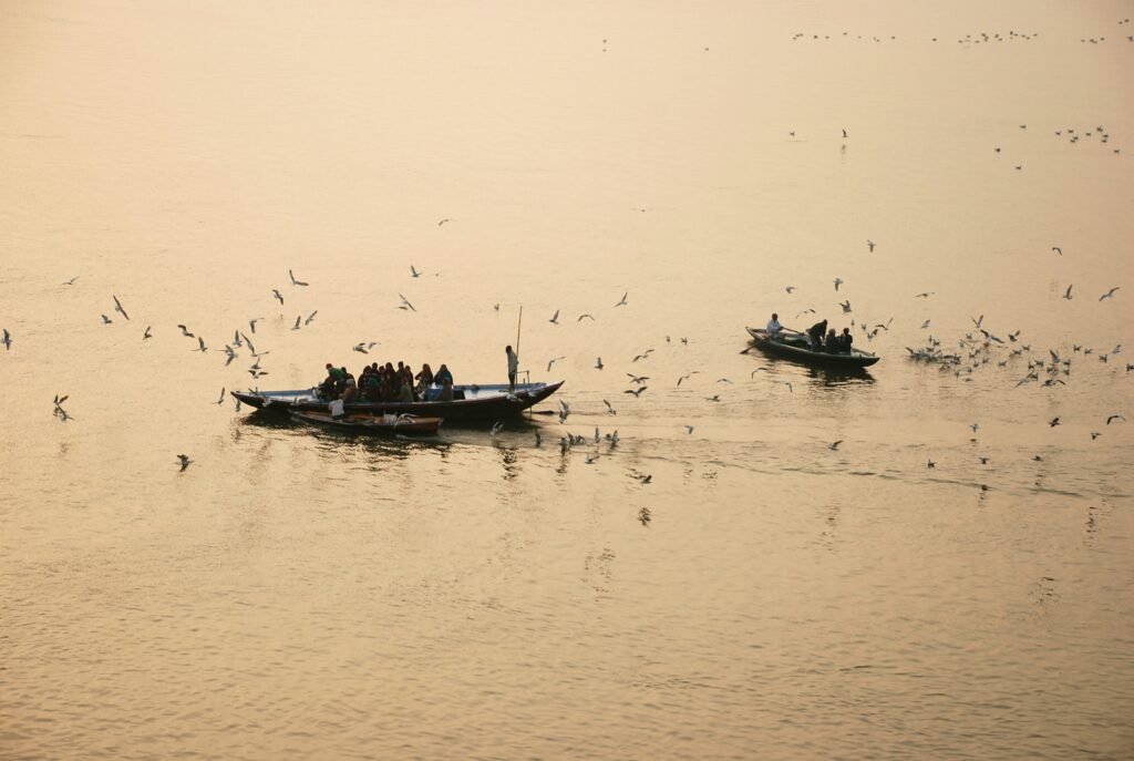 ganges-birdlife