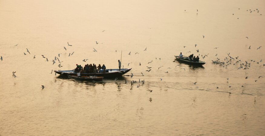 ganges-birdlife